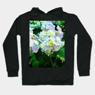 Lavender Hydrangea in Garden Hoodie